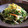 riorena117's cooksnap of when they made 超簡単！もやしとキュウリのナムル風炒め.