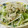 きなこモッチい's cooksnap of when they made とろろ昆布で簡単一品＊水菜のおひたし.