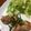 ✳︎ハル✳︎'s cooksnap of when they made 鶏モモのさっぱりグリル.