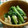 ほのっぺ☆ママ's cooksnap of when they made 小松菜と油揚げのお浸し.