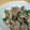 まさぺろ's cooksnap of when they made にらと豚肉の甘辛炒め☆.