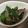 はるか＊ワーママ's cooksnap of when they made 砂肝とニラの漬け　おつまみ.