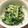 ＭＯＫＯＳＮＯＷ's cooksnap of when they made レンジで水菜のナムル.