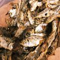 クック684YF2☆'s cooksnap of when they made おつまみにぼし.