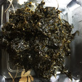 juillet27's cooksnap of when they made あおさの佃煮(生姜風味).