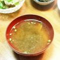 おはなすき's cooksnap of when they made 旦那君が大好きな味噌汁.