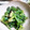 ＴＯＭＯＷＡＴ's cooksnap of when they made 青菜のえごまみそ和え.