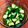 hide_cook's cooksnap of when they made 簡単 我が家のやみつききゅうり.