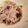クックVI6LOP☆'s cooksnap of when they made レンジで作る蒸し豚もやし♡.