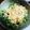 ★あきすけ★'s cooksnap of when they made ゴマ×野菜 お浸し【まごわやさしい】.