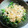 ★あきすけ★'s cooksnap of when they made ゴマ×野菜 お浸し【まごわやさしい】.