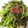 kiki1173's cooksnap of when they made 簡単！かぶの葉のおかか炒め.