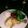mahochan1's cooksnap of when they made レモンハーブチキン.