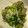 ちっちきさん's cooksnap of when they made きゅうりと砂肝の中華風和え物.