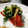 s2meisaes2's cooksnap of when they made かいわれトマト茗荷の塩昆布和え.