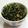 ぺここ☆'s cooksnap of when they made 大根の葉の胡麻油炒め.