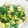 ソネチコ's cooksnap of when they made 芹と玉子の炒め物.