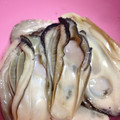 めいたんのママ's cooksnap of when they made 超簡単！蒸し牡蠣.