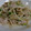 いくえちゃん！'s cooksnap of when they made 簡単！ネギ塩豚丼.