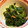 しょたママ☆'s cooksnap of when they made 時短簡単ツナ缶とほうれん草の和風ソテー☆.