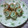sari1101's cooksnap of when they made お弁当おつまみに❤ちくわと大葉のくるくる.