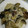 紅茶とチーズケーキ's cooksnap of when they made ナスと大根の煮浸し風.