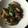 コマンチカン's cooksnap of when they made 茄子と牛肉の味噌炒め.