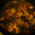 nikonyan's cooksnap of when they made 鶏肉のジャガイモ煮.