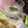 ひろカ's cooksnap of when they made 長芋のわさび和え.