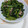 クック5IREO3☆'s cooksnap of when they made ご飯のお供に☆大根葉と豚肉の炒り煮♪.