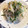 Ｍａｙｕｍｉ１８'s cooksnap of when they made これうま！白滝とねぎのガリバタ炒め.
