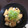 ゆうきっきとうきっき's cooksnap of when they made 厚揚げで!?簡単揚出し豆腐風！？.