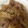 ぽんゆり2006's cooksnap of when they made ＊牛肉とごぼうと糸こんの炒め煮＊.