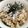 LunaJuno's cooksnap of when they made しらす丼★ウチ流.