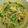 クック5IREO3☆'s cooksnap of when they made 野菜たっぷり♪麻婆春雨.