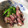 スージー＆ジル's cooksnap of when they made 簡単 ホタルイカとなばなのおぼろ昆布〆♪.