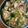 クックQX40TJ☆'s cooksnap of when they made ちんげん菜と豚肉と豆腐のあんかけ♡.