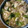 クックQX40TJ☆'s cooksnap of when they made ちんげん菜と豚肉と豆腐のあんかけ♡.