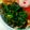 mykym's cooksnap of when they made 超簡単　菜の花　クレソガーリック炒め.