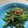tonntanuki's cooksnap of when they made ♡いんげんのごまあえ♡~動画あり~.