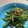 tonntanuki's cooksnap of when they made ♡いんげんのごまあえ♡~動画あり~.