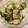 ひこまるのにゃんさま's cooksnap of when they made 簡単きゅうりとツナのマヨサラダ.