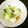ウメ吉さん's cooksnap of when they made 酢っぱり爽やか‼︎ 白菜の浅漬け.