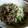 （すみれ）'s cooksnap of when they made もやし炒め.