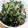 クック4YLOVM☆'s cooksnap of when they made ツナと大根葉のおかか炒め.