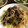 ゆっきちくん's cooksnap of when they made はちみつで豚の生姜焼き.