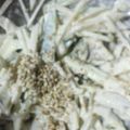 おいもぴぃ's cooksnap of when they made 【糖質制限】菊芋シャキシャキサラダ.