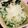ミュッミュッ's cooksnap of when they made めかぶの血液サラサラさらだ.