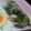 ミュッミュッ's cooksnap of when they made しめじとブロッコリーの柚子胡椒マヨネーズ.
