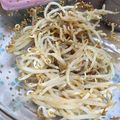 はちみつかなこ's cooksnap of when they made 定番。もやしの胡麻和え.
